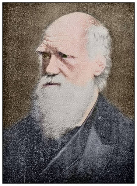 From tiny cells to a colossal human: Charles Darwin’s Theory of Evolution