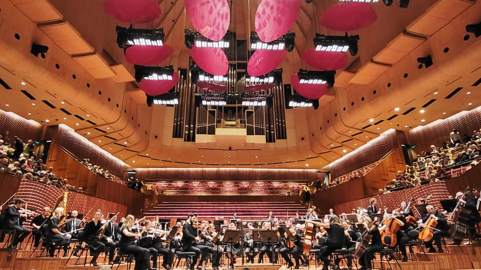 A History Nut's Reflection